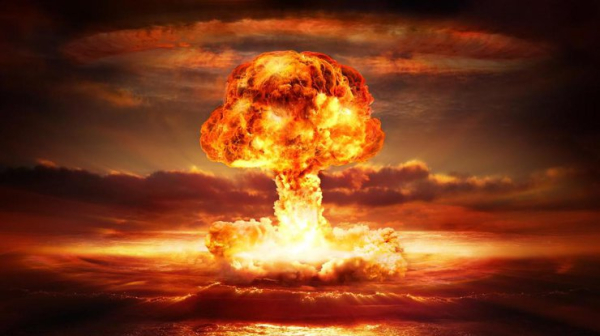 Дослідники назвали рослину, яка врятує людство від голоду у разі ядерної зими0