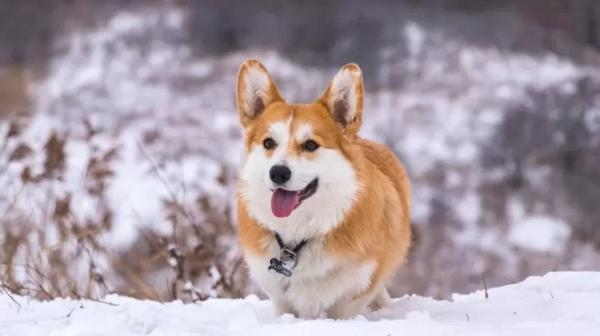 Лютих морозів не буде: прогноз погоди до 6 січня0