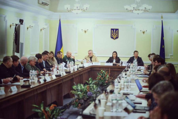 Галина Янченко: Парламентська спецкомісія по захисту інвесторів розглянула виконання рішення РНБО по бізнесу0