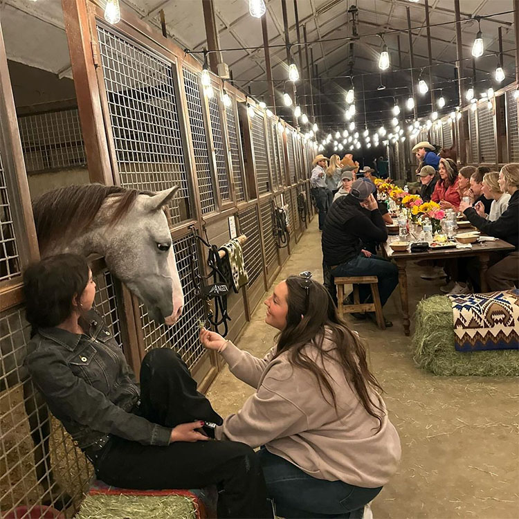 Вечірка в стайні Вечірка в стайні2