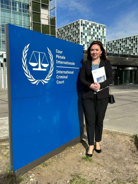 Представники Комітету з питань провоохоронної діяльності працювали в експертному проекті у Гаазі2