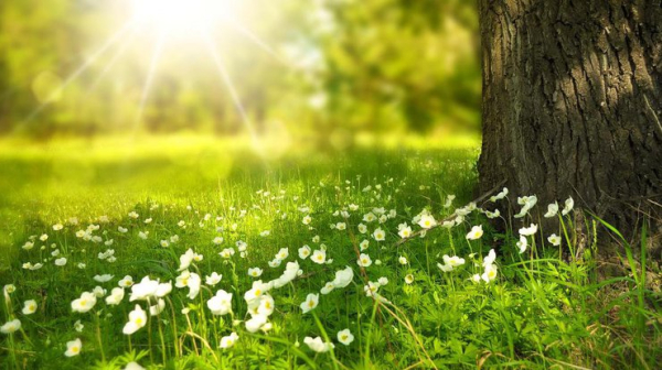 Погода на 9 травня: що передають синоптики0