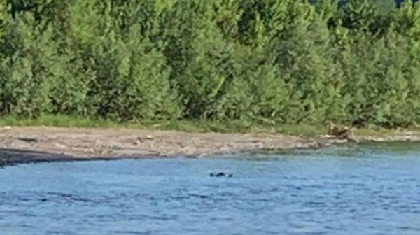 Від початку повномасштабної війни 25 чоловіків загинули, намагаючись перепливти Тису0