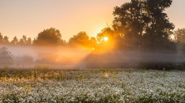 Рекордна спека: синоптики дали прогноз на 30 червня0