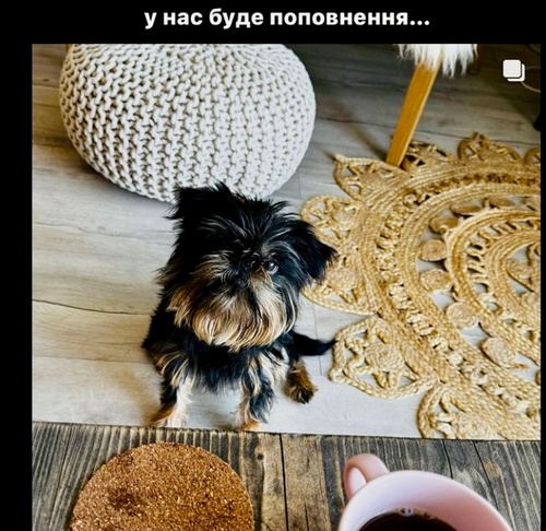 «Я стану дідусем!»: відомий шеф-кухар приголомшив новиною1