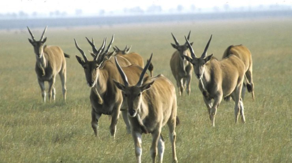 У біосферному заповіднику