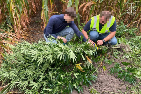 В Україні перекрили канали збуту наркотиків і зброї: підозри отримали 116 людей (фото)4