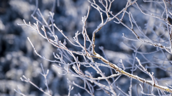 Синоптикиня попередила про негоду вже з 20 листопада0
