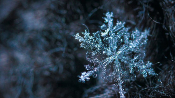 Нічні морози до -14: прогноз погоди на вихідні, 14-15 грудня0