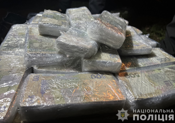 У Запоріжжі жінка за 15 млн грн замовила вбивство ексчоловіка та його родини1