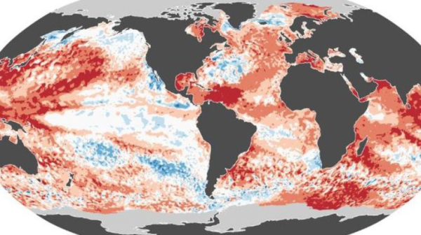 2024 рік став першим в історії, коли глобальна температура перевищила 1,5°C0