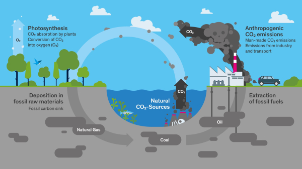 Названі лідери з забруднення Землі та викидами CO21