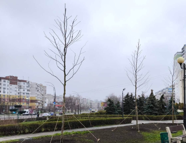 Із початку року в Києві висадили понад 4 тисячі дерев, майже 35 тисяч кущів і близько 3,3 мільйонів квітів1