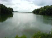 Фото: wikipedia.org Фото: wikipedia.org0