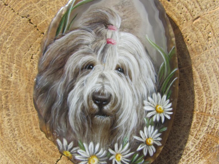 Бобтейл з ромашками зачаровує красою. Бобтейл з ромашками зачаровує красою.3