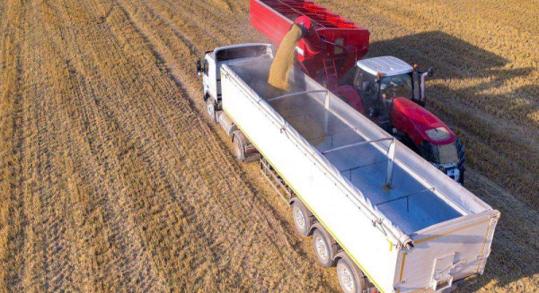 Українські аграрії зібрали вже 43 млн тонн зерна нового врожаю, - Комітет з питань аграрної та земельної політики0