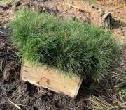 Фото: kyivcity.gov.ua Фото: kyivcity.gov.ua0