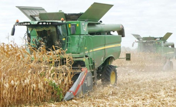 Україна завершує жнива 2025: зібрано понад 52 млн тонн зернових та олійних культур, - Комітет з питань аграрної та земельної політики0