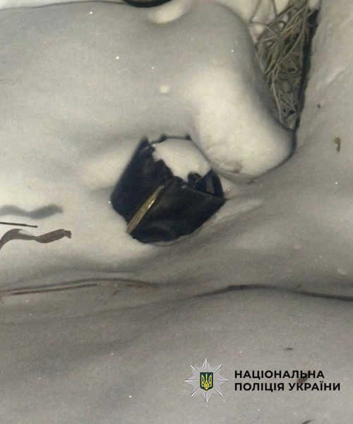 У Києві чоловік погрожував ножем жінці і відібрав сумку1