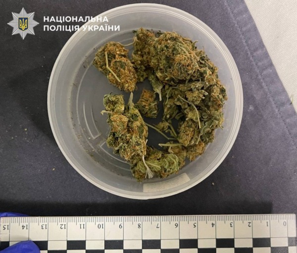 Вистрілив в обличчя: у Києві судитимуть чоловіка за вбивство дружини1