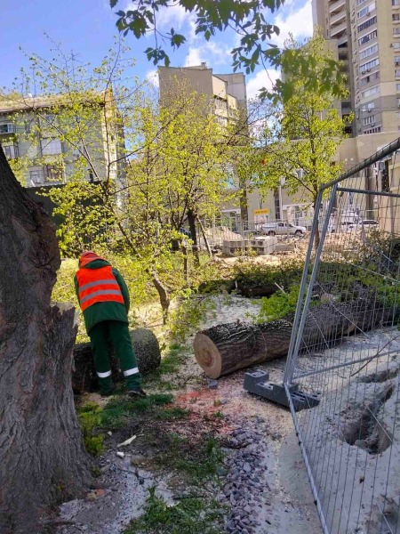 У Києві буря знесла дорожній знак (ФОТО)4