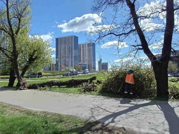 У Києві буря знесла дорожній знак (ФОТО)3