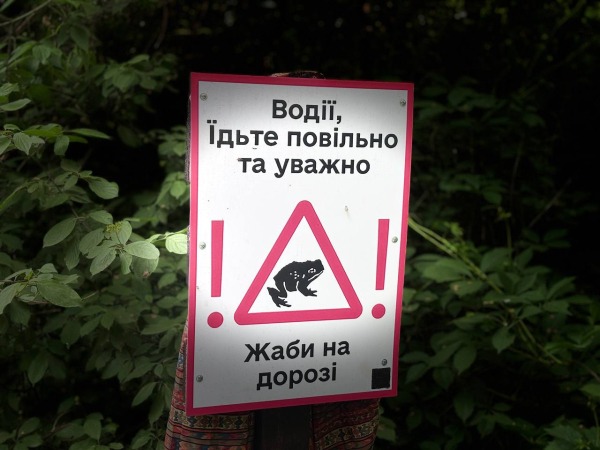 Екостежку в Голосіївському лісі завалили сміттям6