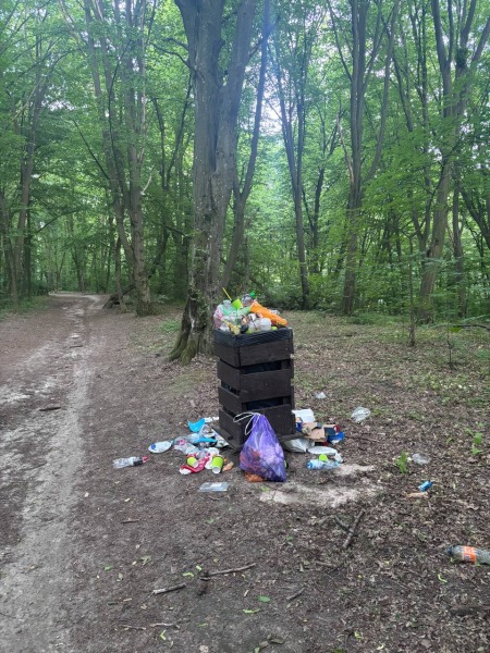 Екостежку в Голосіївському лісі завалили сміттям1